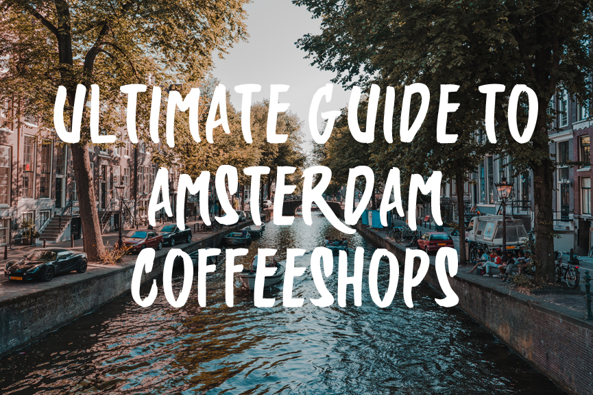 Ultimate Guide To Amsterdam Coffeeshops Best Coffee Shop List And Advice