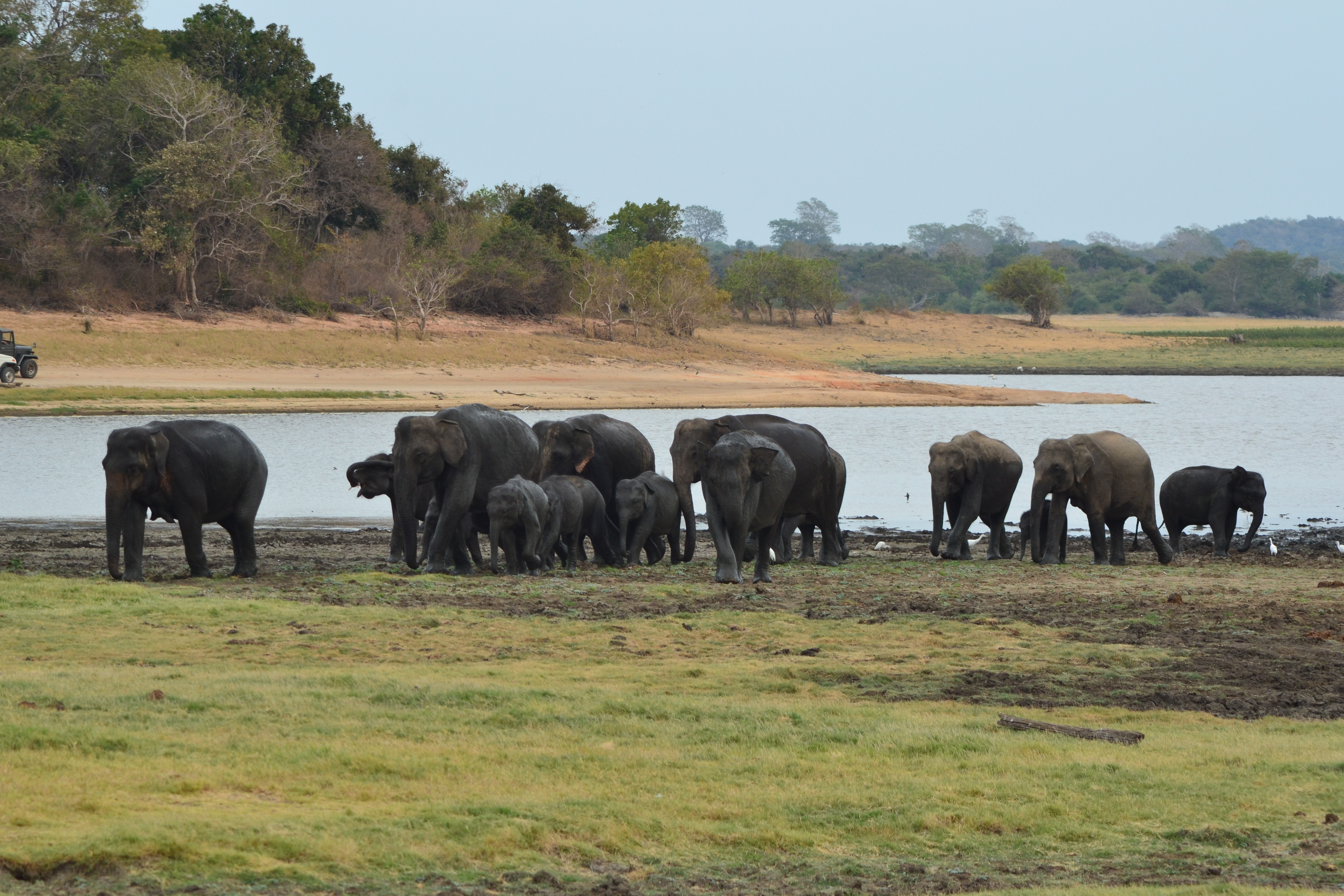 backpacker tour sri lanka