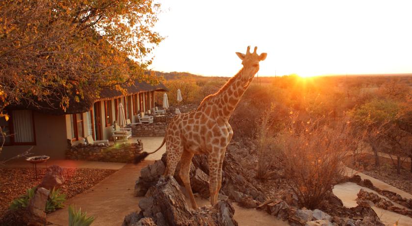 etosha safari lodge rezensionen