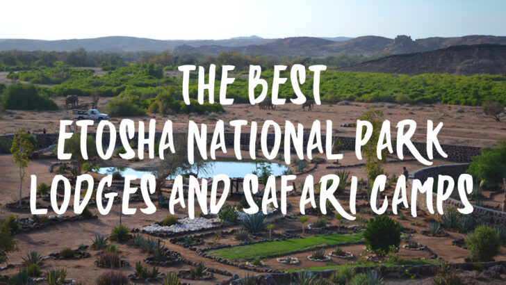 The Best Etosha National Park Luxury Lodges & Safari Camps
