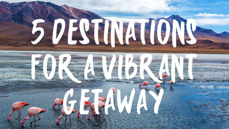 5 Destinations for a Vibrant Getaway